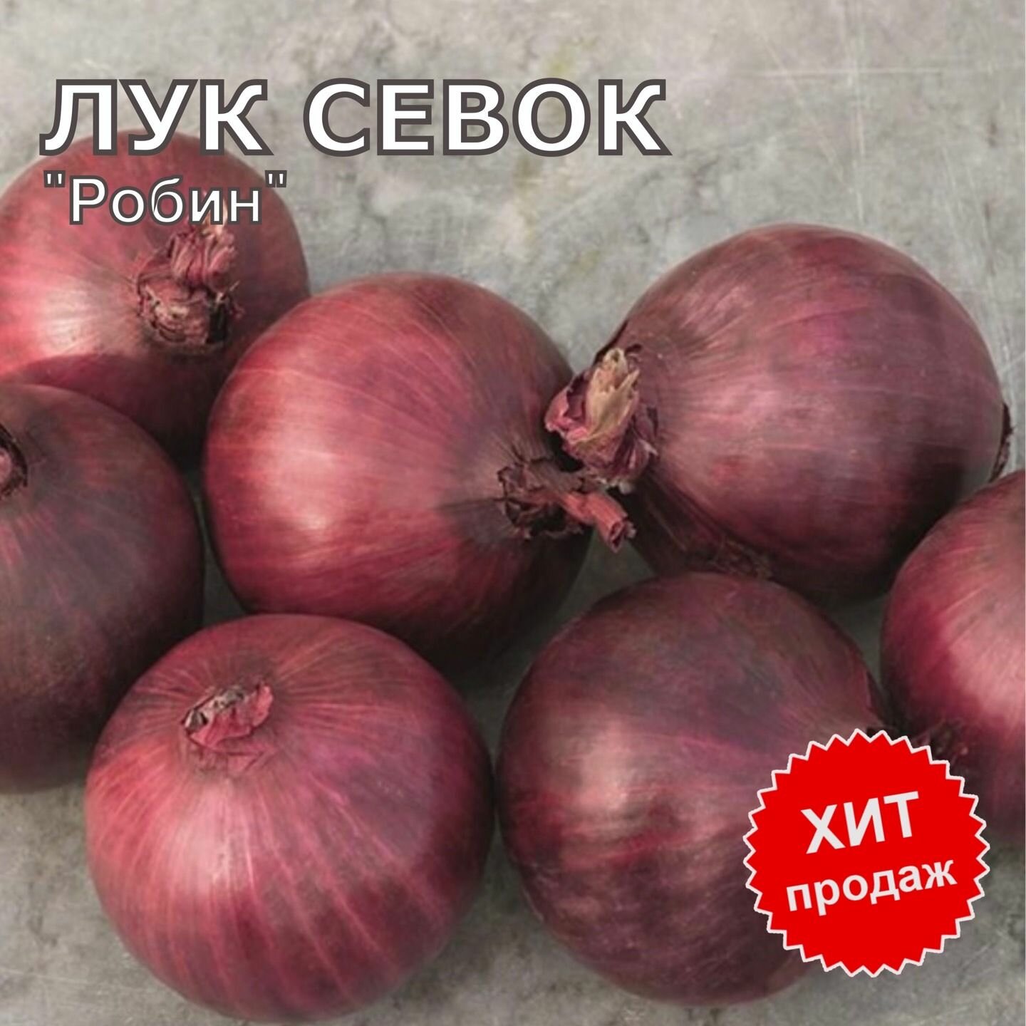 Лук севок на...