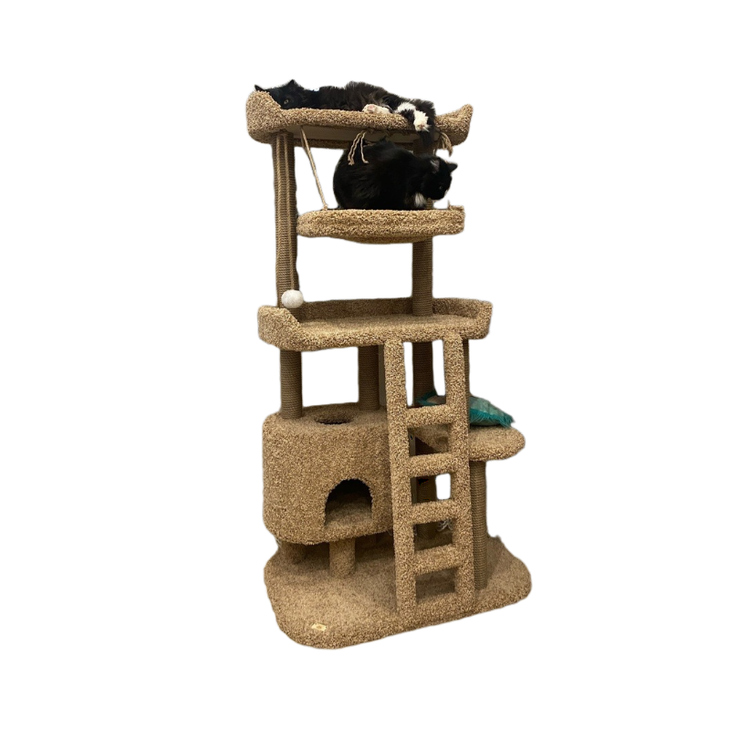 Игровой комплекс для кошек с когтеточкой Моя Котя "Академгородок" подвесной гамак цвет бежевый