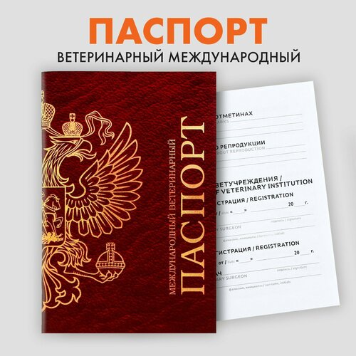 Ветеринарный паспорт международный универсальный ветеринарный паспорт международный универсальный паттерн сердце