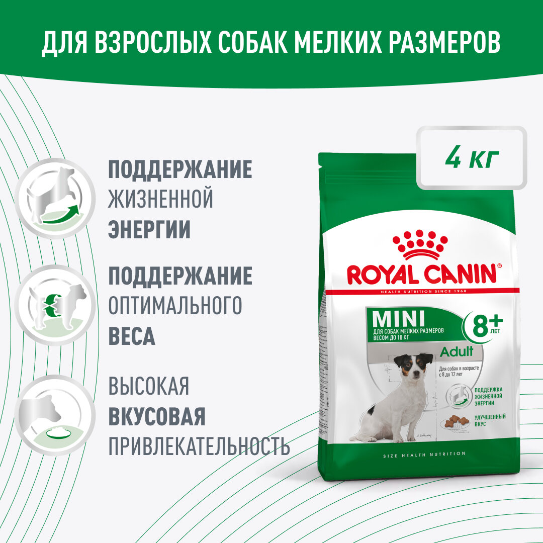 Royal Canin Mini Adult 8+ для взрослых собак мелких размеров (до 10 кг) старше 8 лет, 4кг