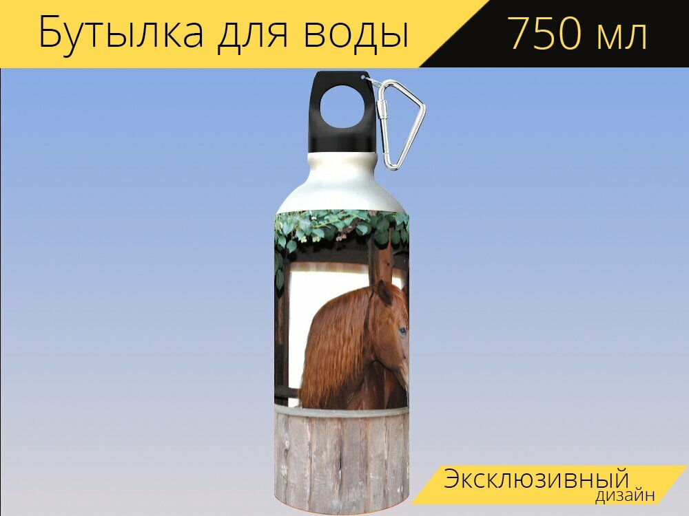 Бутылка фляга для воды "Лошадь, сарай, лошадиная голова" 750 мл. с карабином и принтом