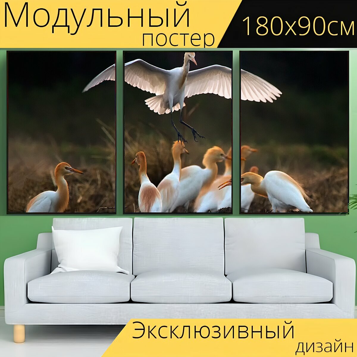 Модульный постер "Птица, клювая птица, полевка" 180 x 90 см. для интерьера