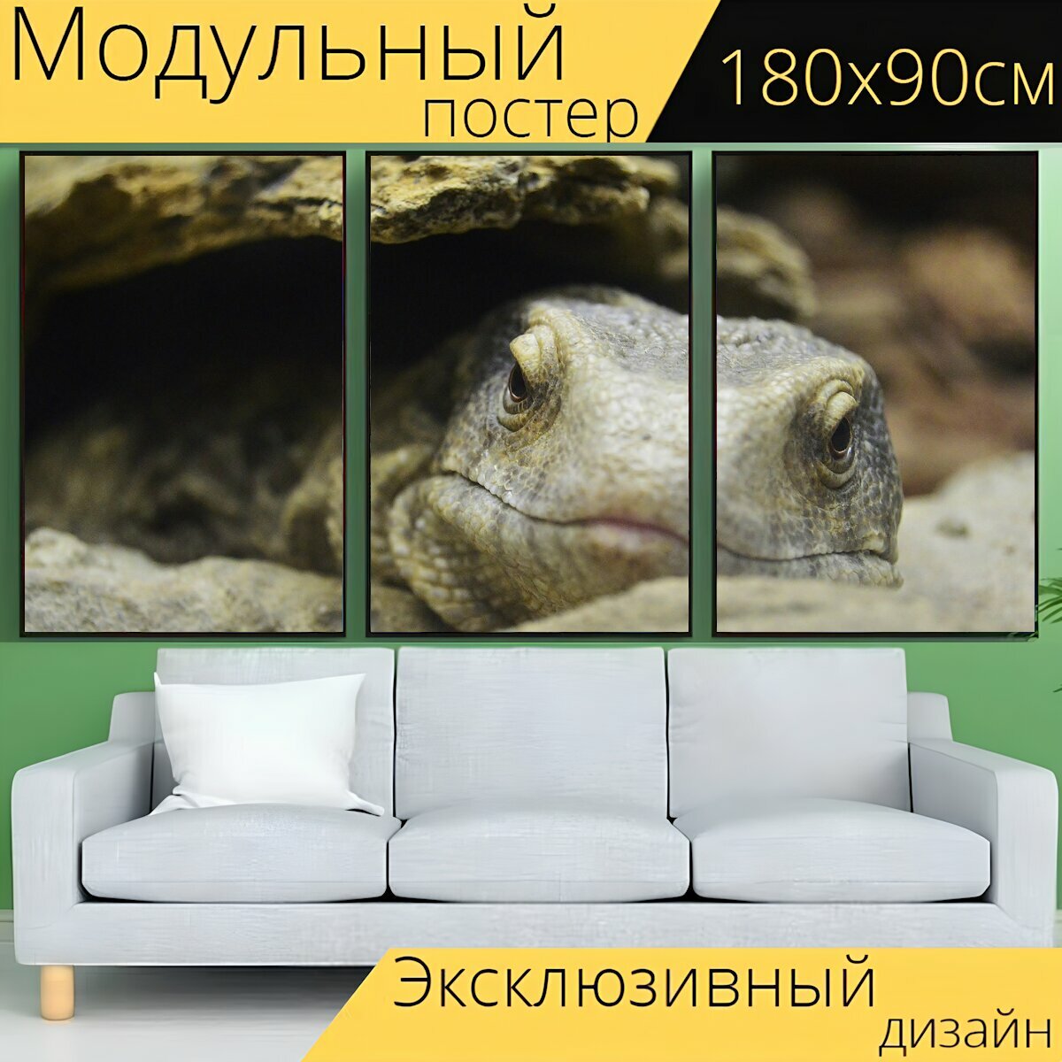 Модульный постер "Черепаха, животные, морской" 180 x 90 см. для интерьера