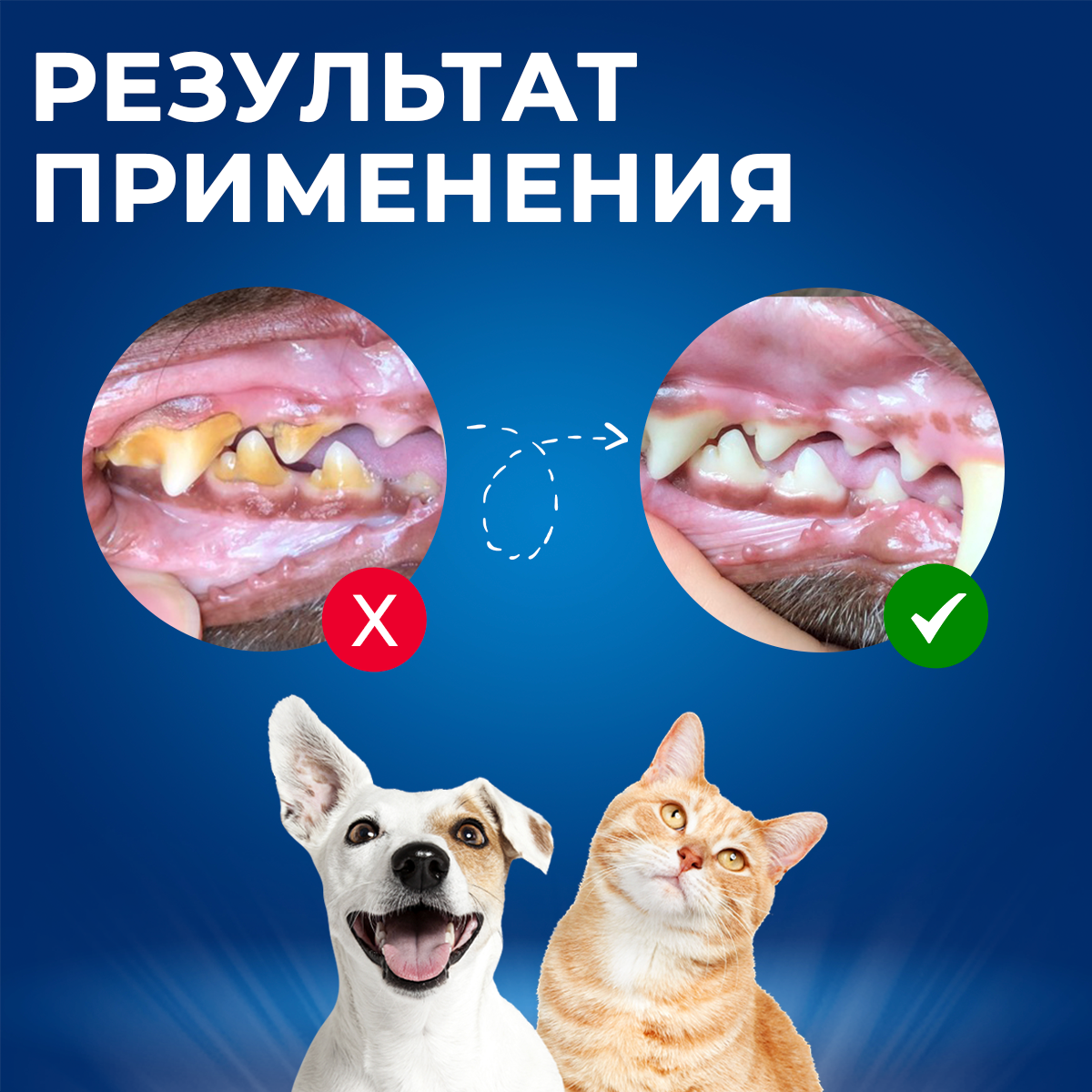 Зубная паста для собак "Dentalpik Pets" со вкусом говядиной, 3 щетки - фотография № 7