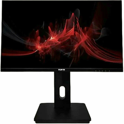 Монитор RDW Computers 238 RDW2423K 1792000₽