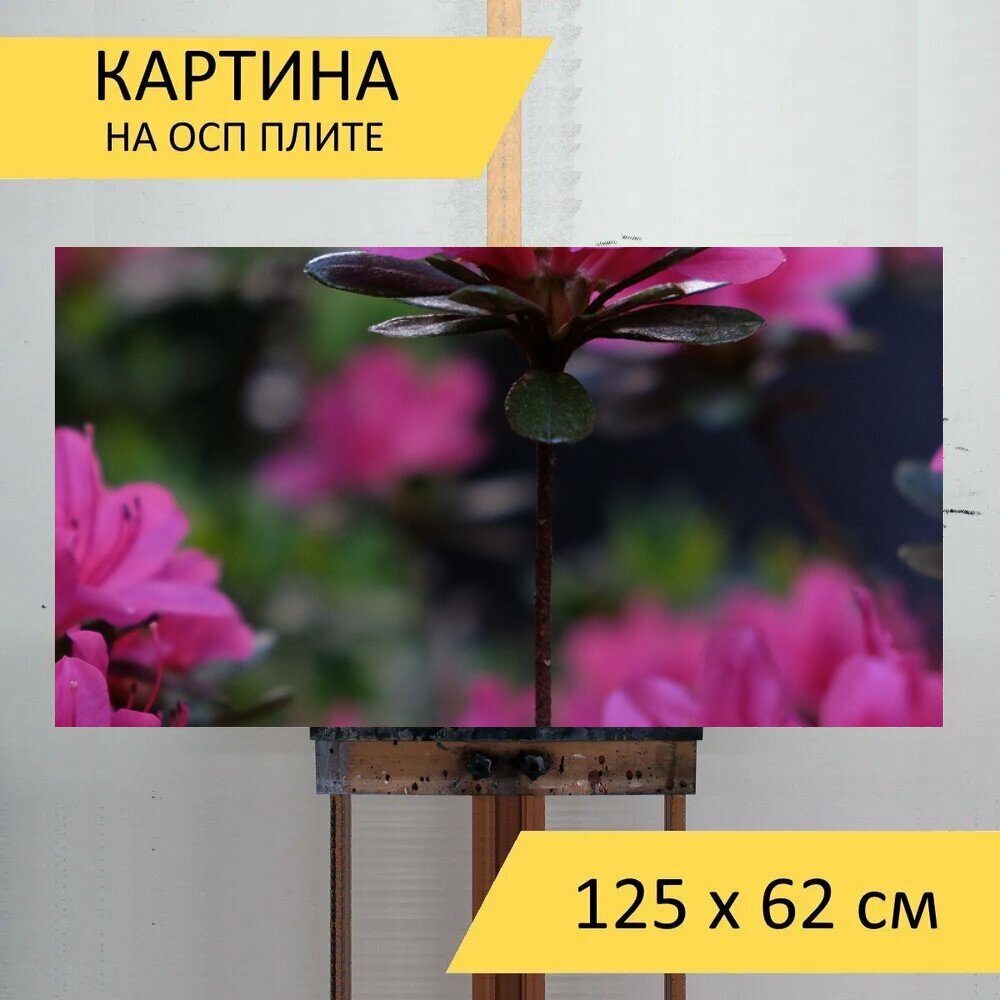 Картина на ОСП 125х62 см. 