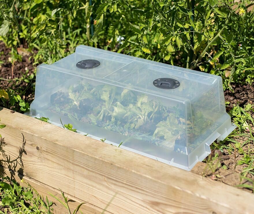 фото Колпак-теплица для горшка и отдельного использования EDA SERRE CITY