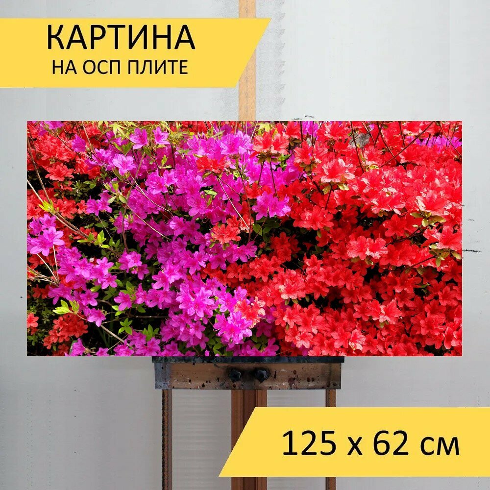 Картина на ОСП 125х62 см. 