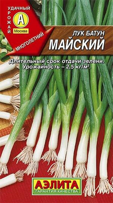 Семена Лук батун Майский (многолетние) П. (Аэлита) 1г