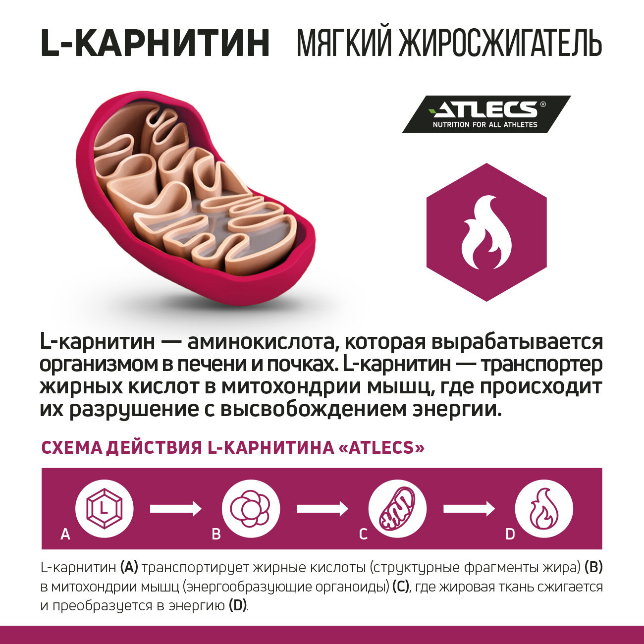 Atlecs L-carnitine 120000 mg, 1000 мл. (гранат)