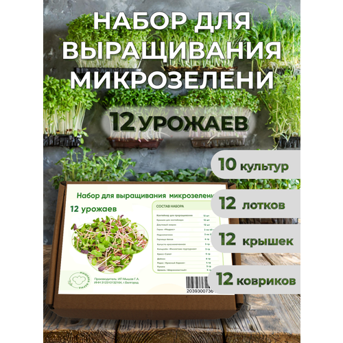 12 пакетиков семян микрозелени 12 ковриков 3 лотка Набор для выращивания микрозелени Мышкина ферма 12 урожаев