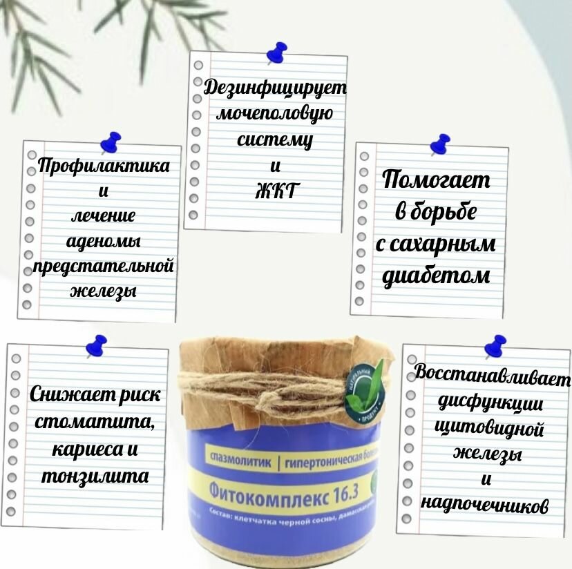 Картинки Капсулы на травах ВолгаЛадь-16.3 Спазмолитик