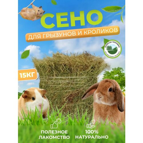 Сено для грызунов и хорьков