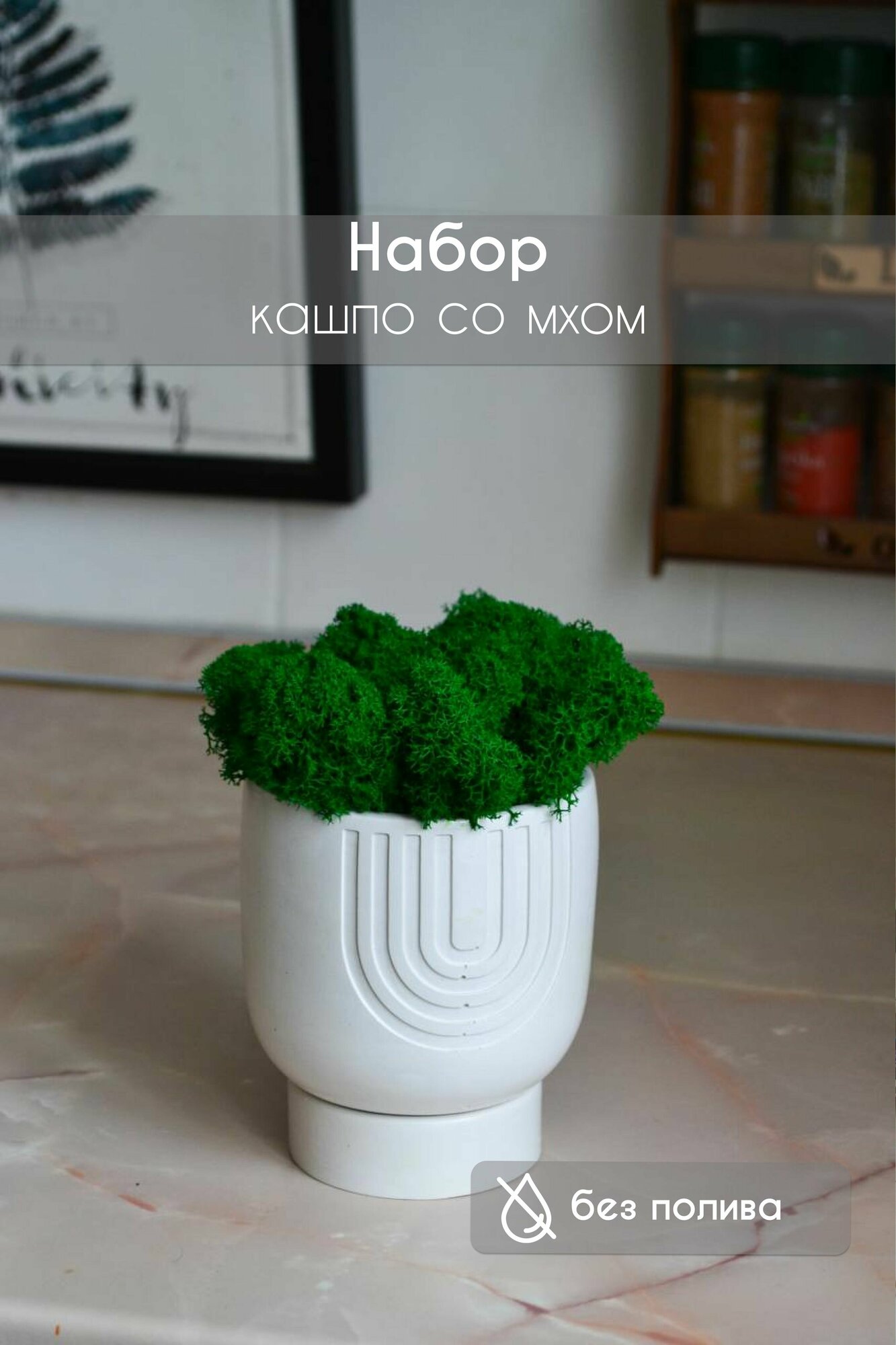 Из чего сделано кашпо? — Кашпо со стабилизированным мхом