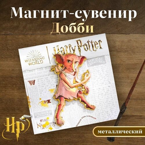 Магнит-сувенир металлический 