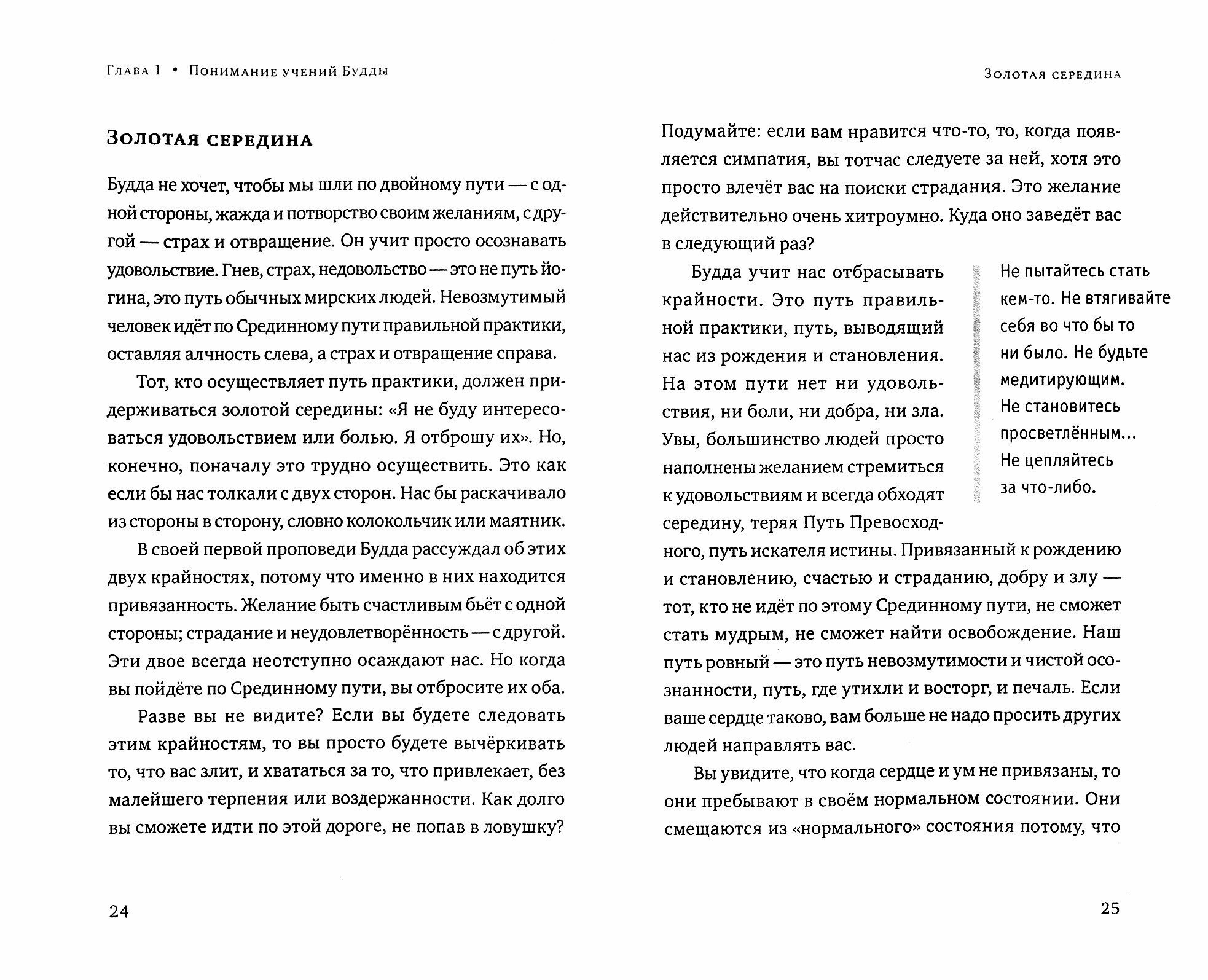 Тихая лесная заводь. Медитация прозрения от Аджана Чаа - фото №3