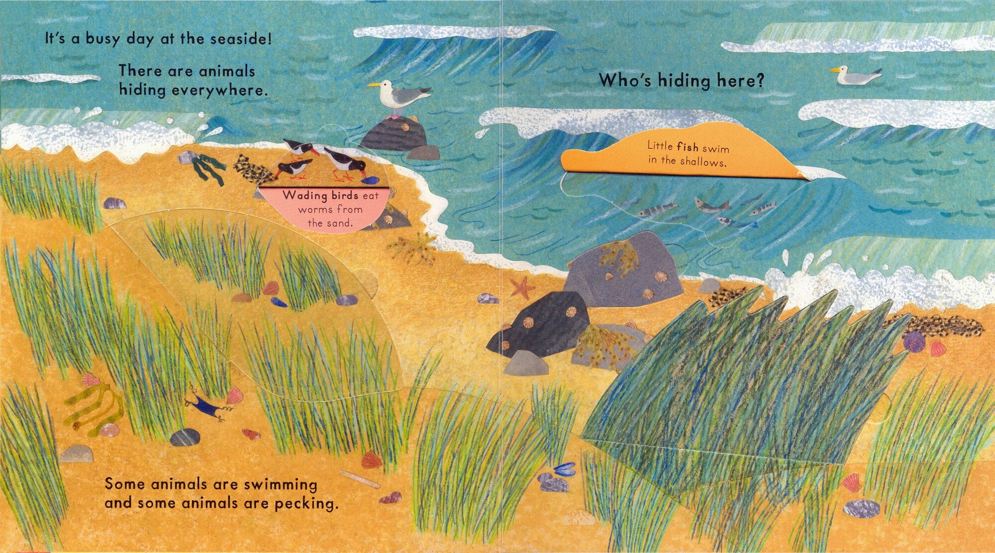 Who's Hiding at the Seaside? - фото №2