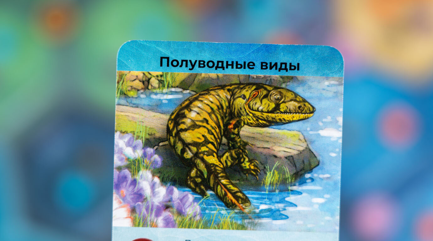 Настольная игра Gaga Games - фото №11