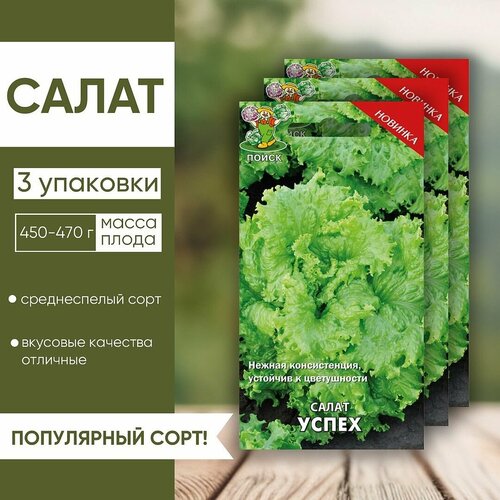 Семена салата Листовой успех (3 упаковки) семена салат успех 3 упаковки 2 подарка