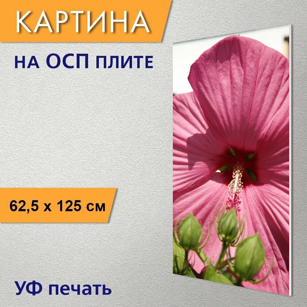 Вертикальная картина на ОСП "Цветок, цвести, розовый" 62x125 см. для интерьериа