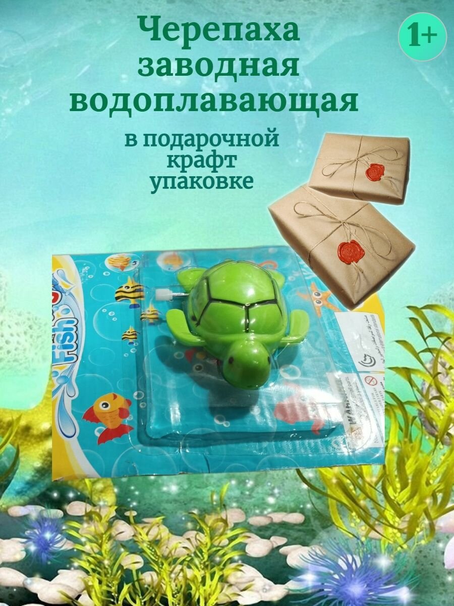 Черепаха заводная в подарочной упаковке