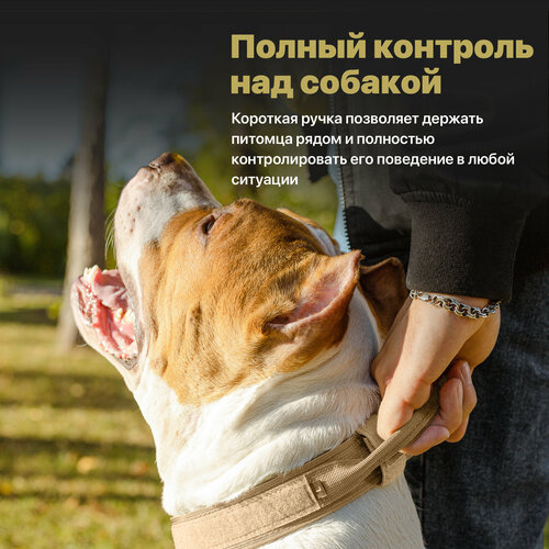 фото Ошейник для собак крупных и средних пород с ручкой, ssy, тактический ошейник, размер l, бежевый