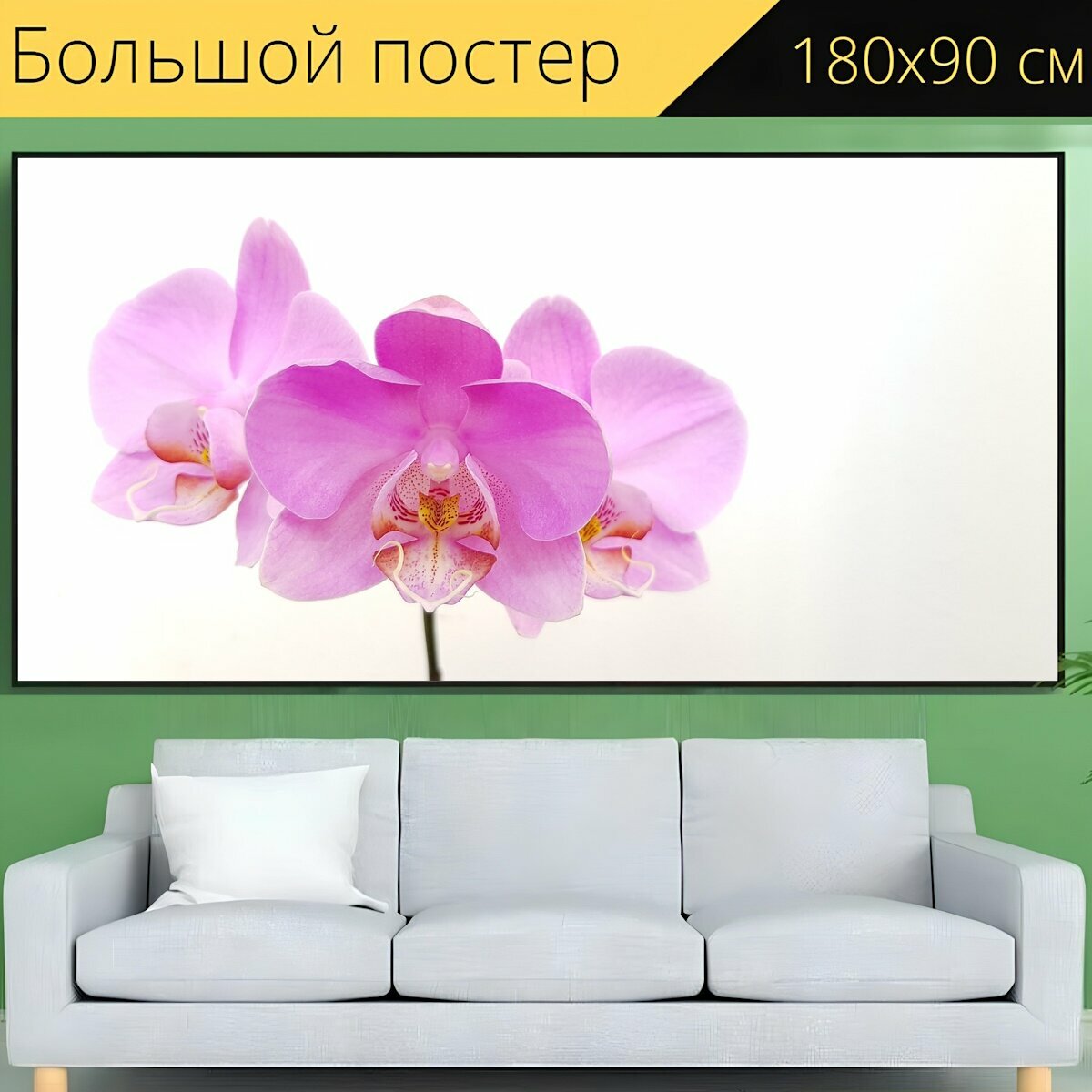 Большой постер "Цветок, орхидея, розовый" 180 x 90 см. для интерьера