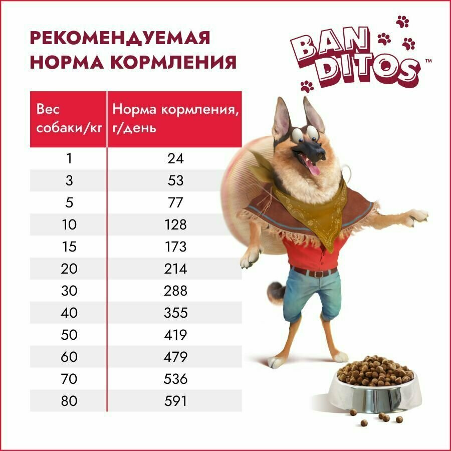 Сухой корм для взрослых собак BANDITOS с говядиной, 2 кг - фото №3