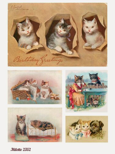 Изображение товара Рисовая бумага для декорирования Milotto