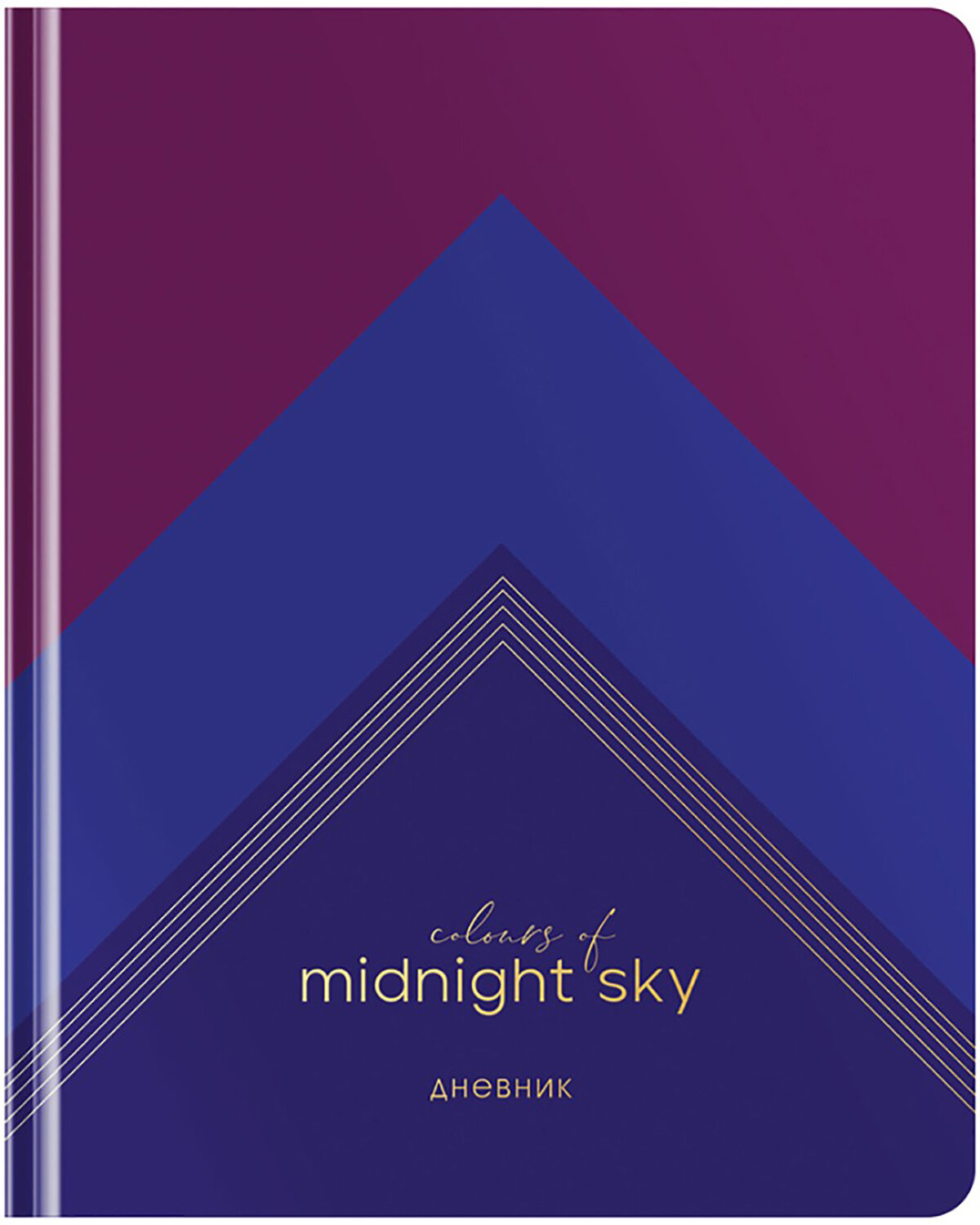 Дневник школьный для 1-11 классов Midnight sky, 48 листов Greenwich Line - фото №4