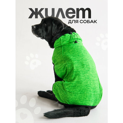 Жилет для собак, зеленый, L сетчатый жилет для собак мягкая флисовая одежда для маленьких собак теплый жилет повседневная футболка для собак с ремнем для собак пово