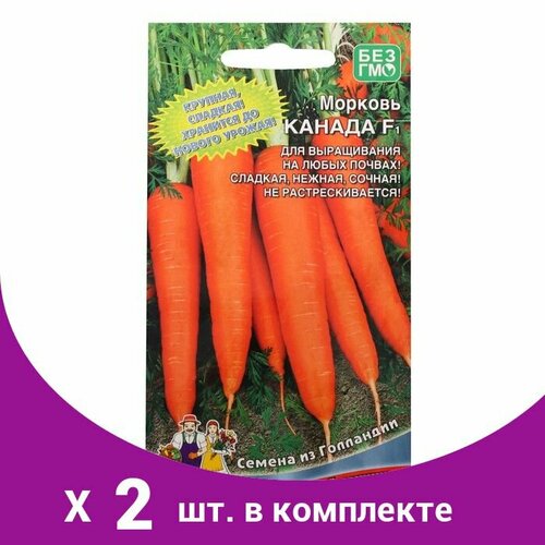 семена морковь канада f1 100 драже 2 подарка Семена Морковь 'Канада' F1, 0.2 г (150шт) (2 шт)