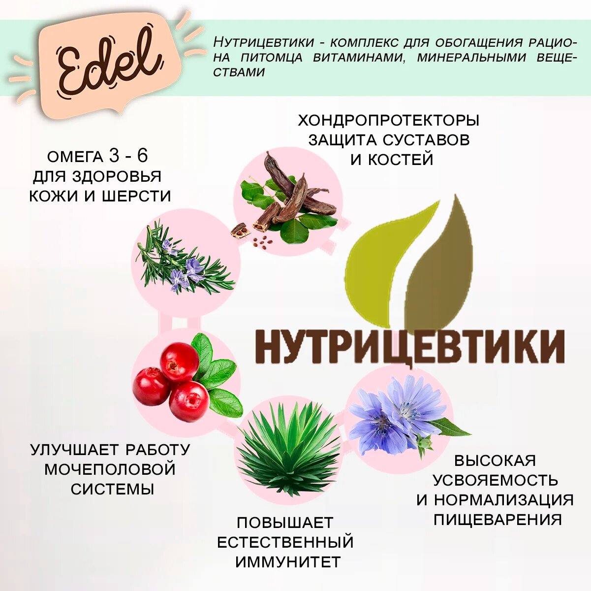 Сухой корм Edel для стерилизованных кошек, с телятиной 1.5 кг - фотография № 14