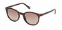 Женские солнцезащитные очки Guess GUS 00118 52H, цвет: коричневый, цвет линзы: коричневый, панто, пластик