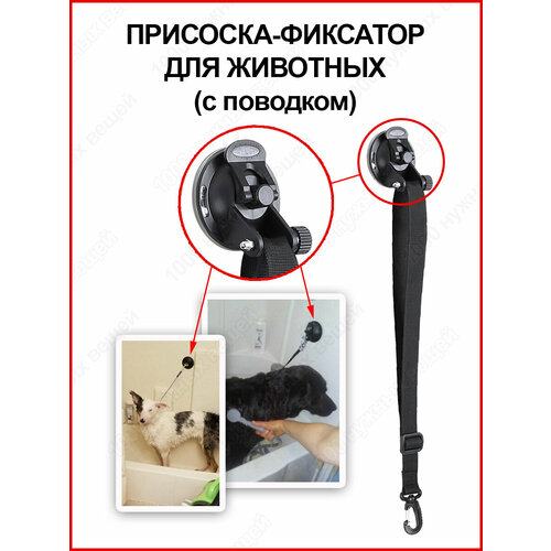Присоска фиксатор (с поводком) для мытья кошек и собак