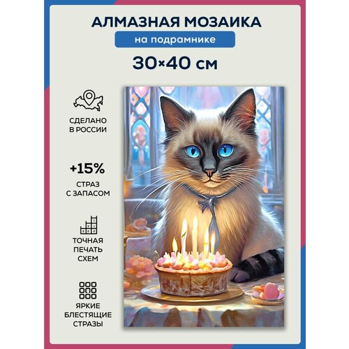Алмазная мозаика 30x40 День рождения кота на подрамнике