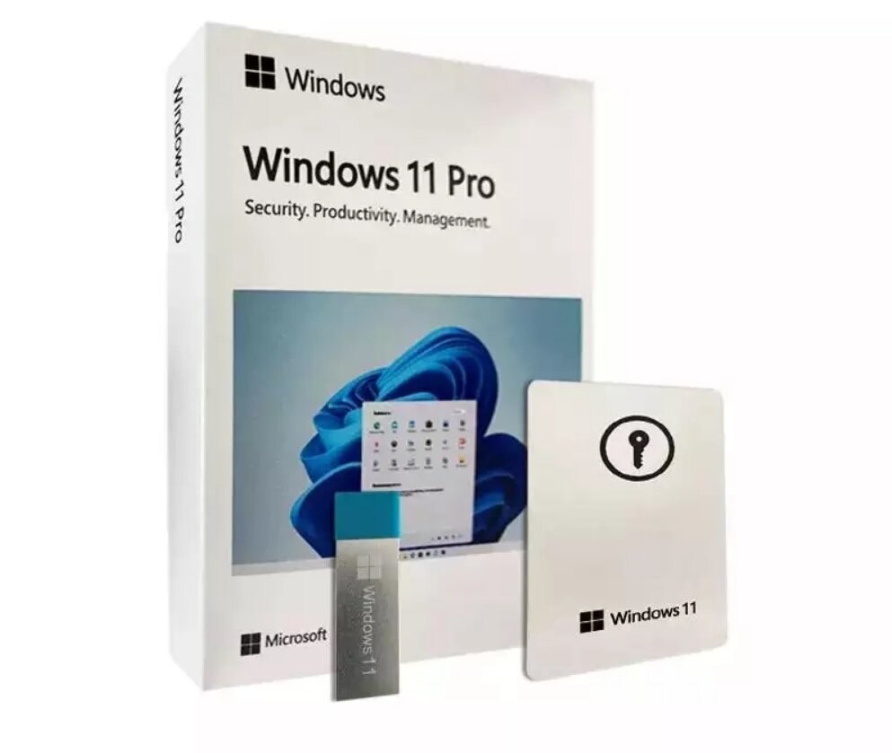 Microsoft Windows 11 Professional x64 USB Retail Rus HAV-00160