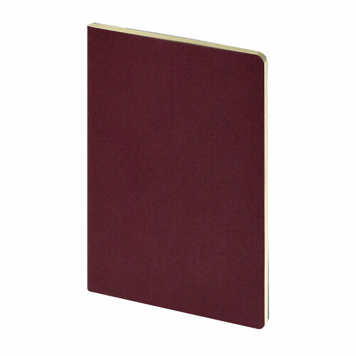 Бизнес тетрадь Bruno Visconti А5, 