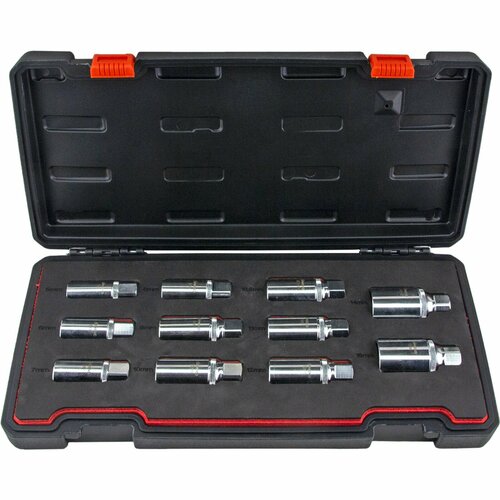 ZS-H020001 Набор шпильковертов эксцентриковых расширенный 5-16мм, 11пр.