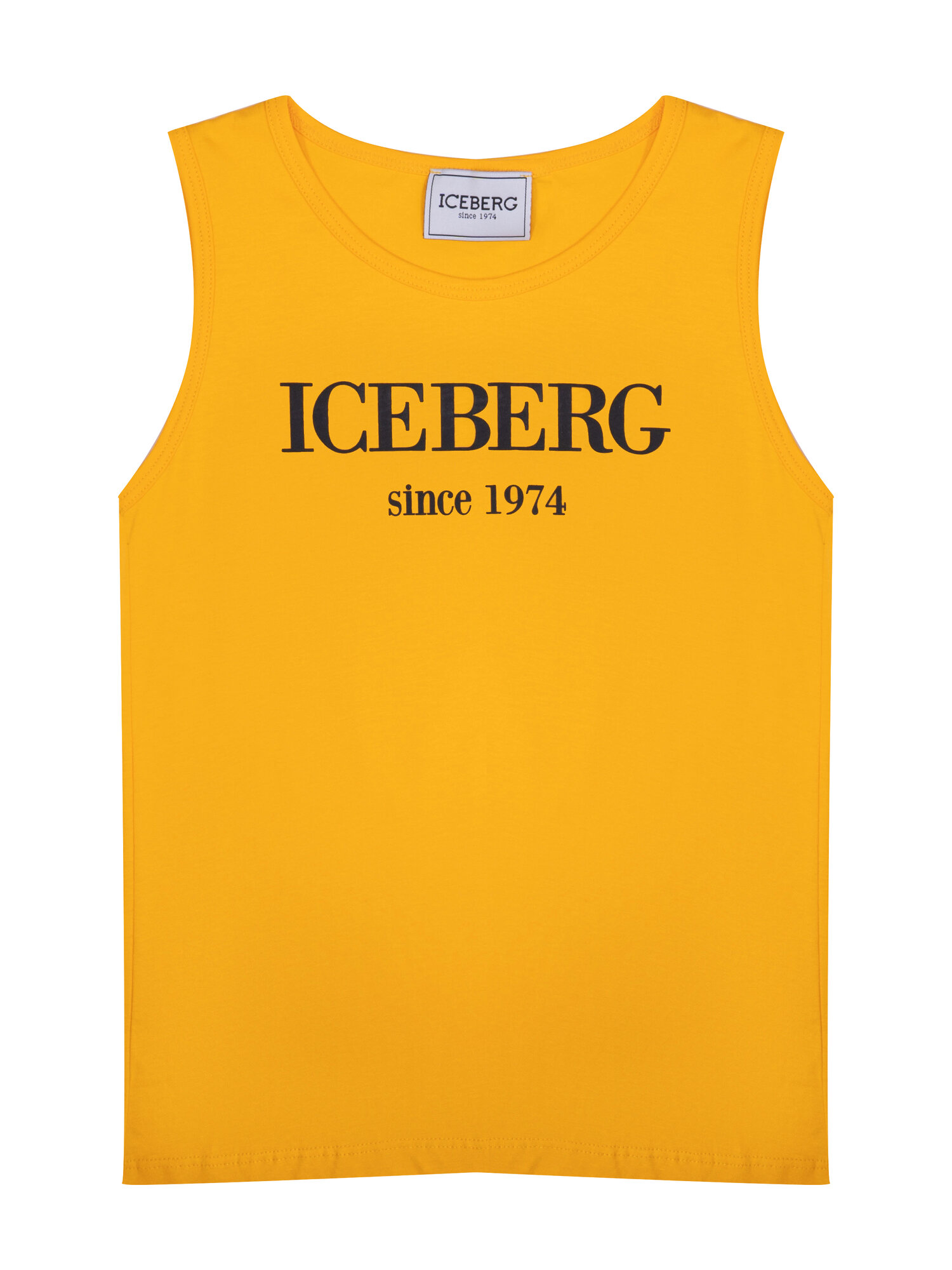 Майка Iceberg