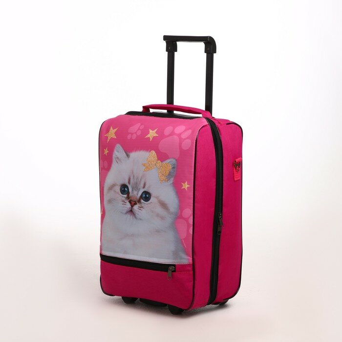 фото Чемодан малый А206КД "Кися" 32*23*42 см, отд на молнии, н/карман, розовый