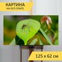 Картина на ОСП 125х62 см. "Макрос, насекомое, природа" горизонтальная, для интерьера, с креплениями