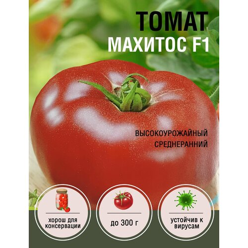 Томат Махитос F1 (1 пакет по 5 семян)