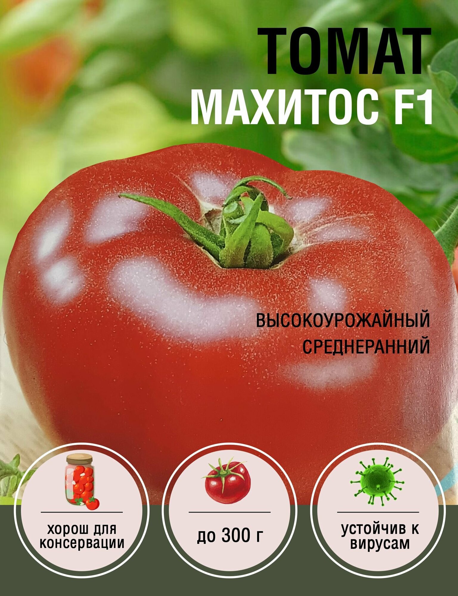 Томат Махитос F1 (10 пакетов по 5 шт.)