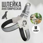 Анатомическая шлейка для собак, серая, размер M - изображение