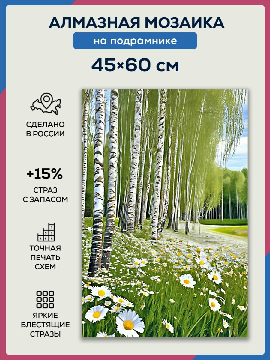Алмазная мозаика 45x60 Березы в лесу на подрамнике