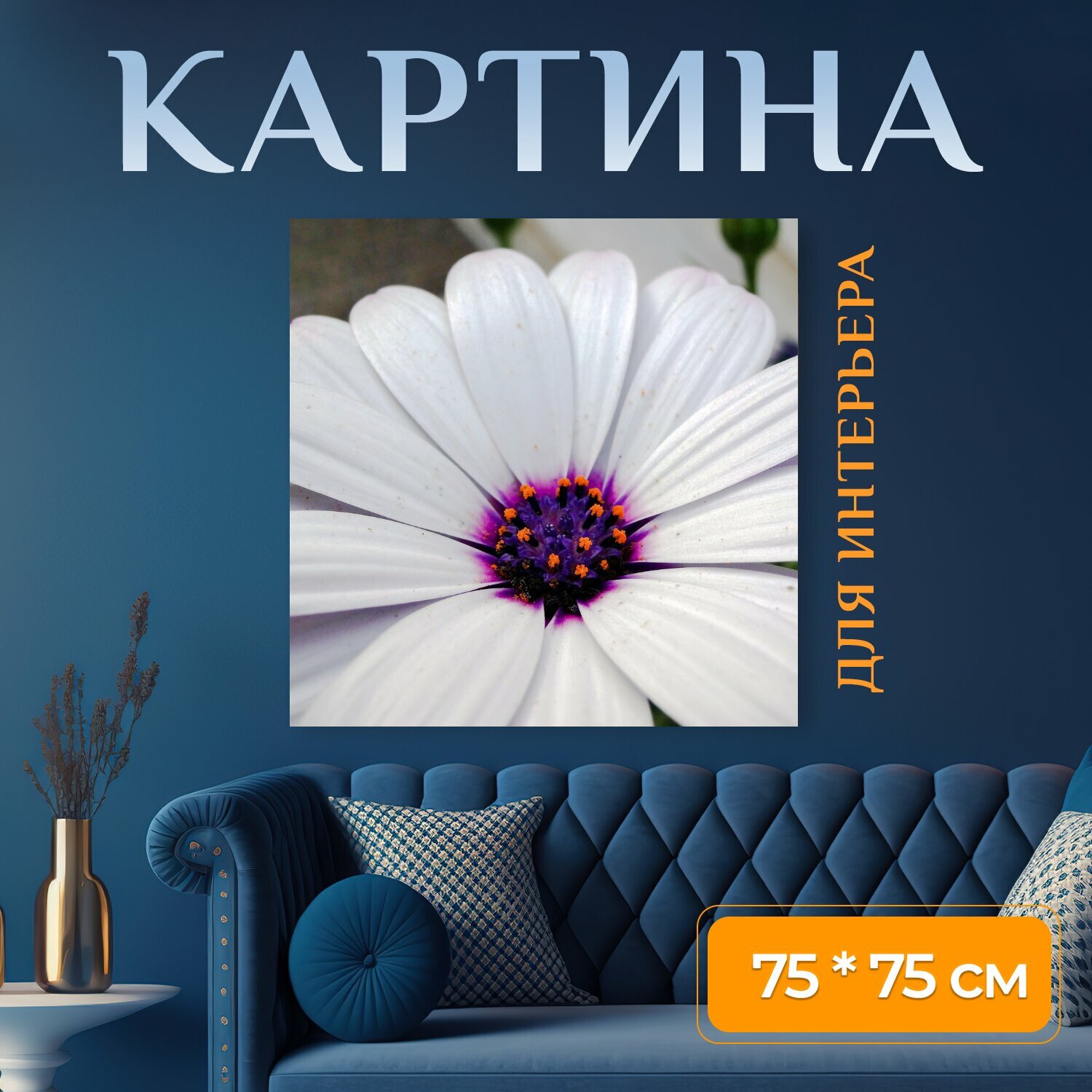 Картина на холсте "Цветок, природа, фиолетовый" на подрамнике 75х75 см. для интерьера