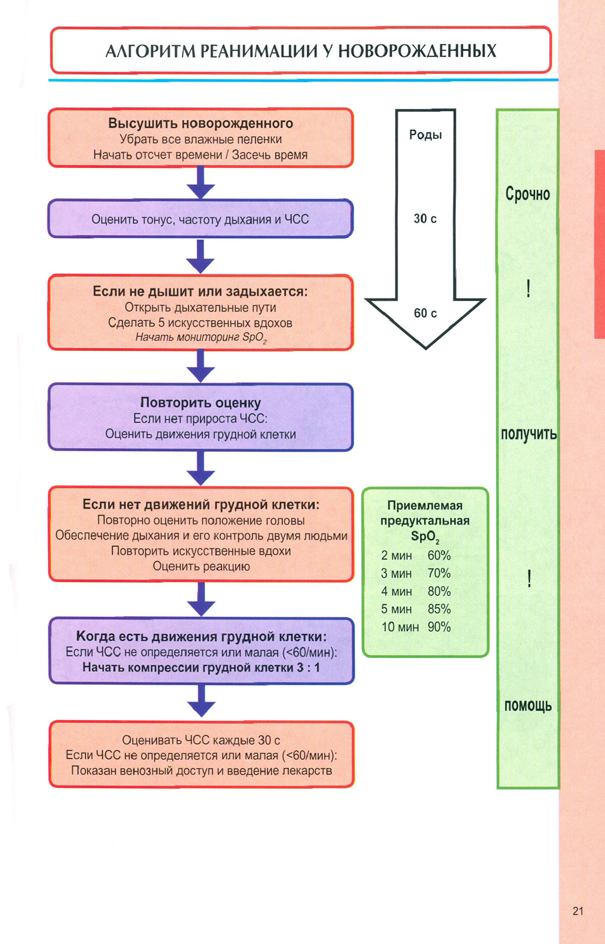 Анестезия и неотложная терапия у детей в таблицах и схемах - фото №4