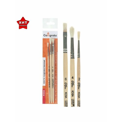 Набор кистей Коза 3 штуки Calligrata 1 243₽