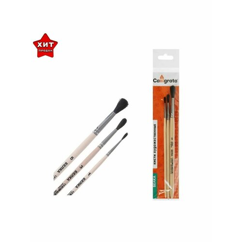 Набор кистей Белка 3 штуки Calligrata 381₽